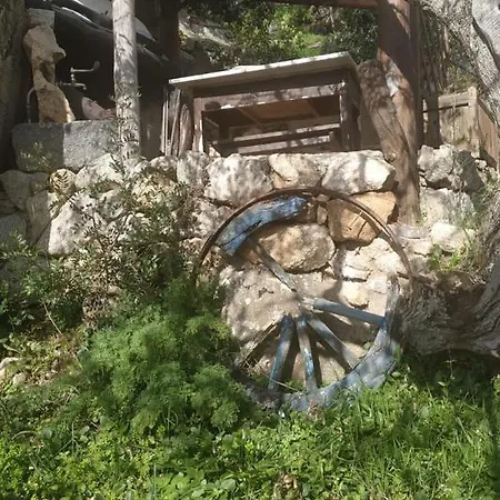 Chata Shepherds House In A Rural Area In Nuoro N 54 Nuoro (Sardinia)